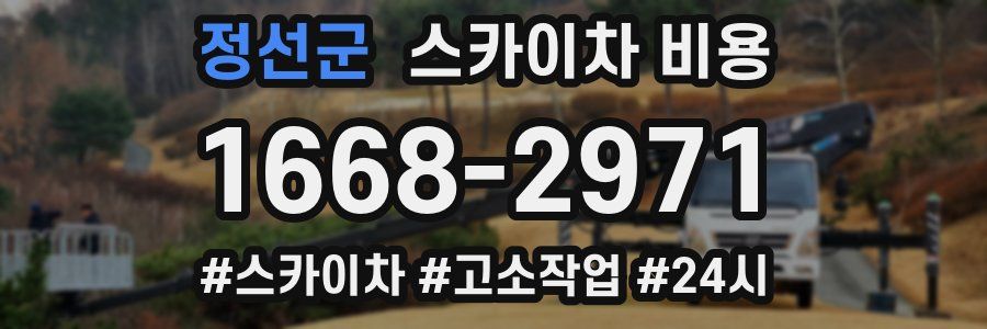 정선군 스카이차 비용