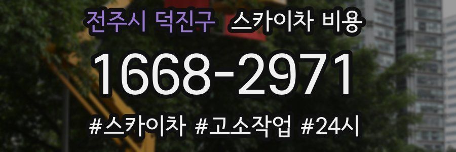 전주시 덕진구 스카이차 비용