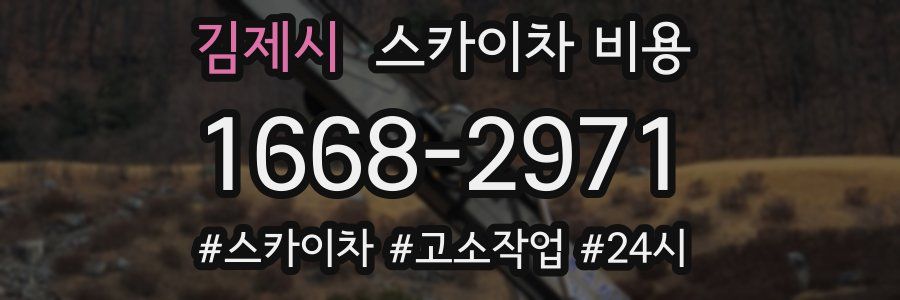 김제시 스카이차 비용