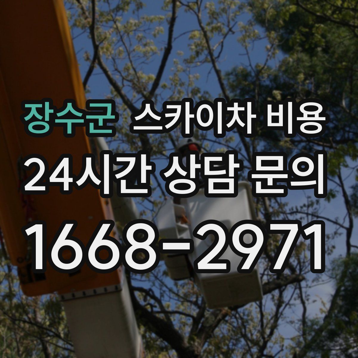 장수군 스카이차 비용