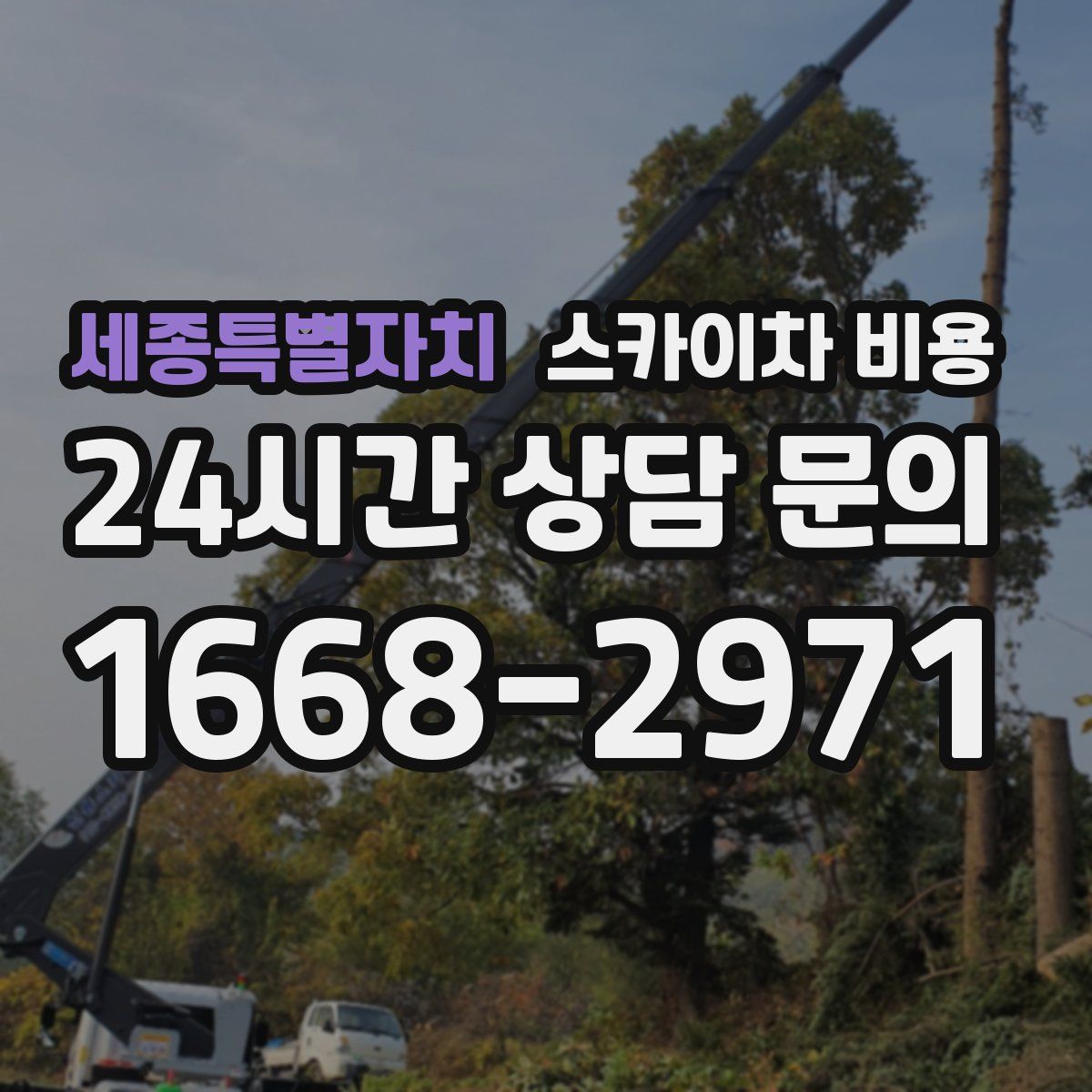 세종특별자치 스카이차 비용