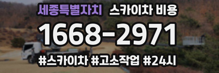 세종특별자치 스카이차 비용