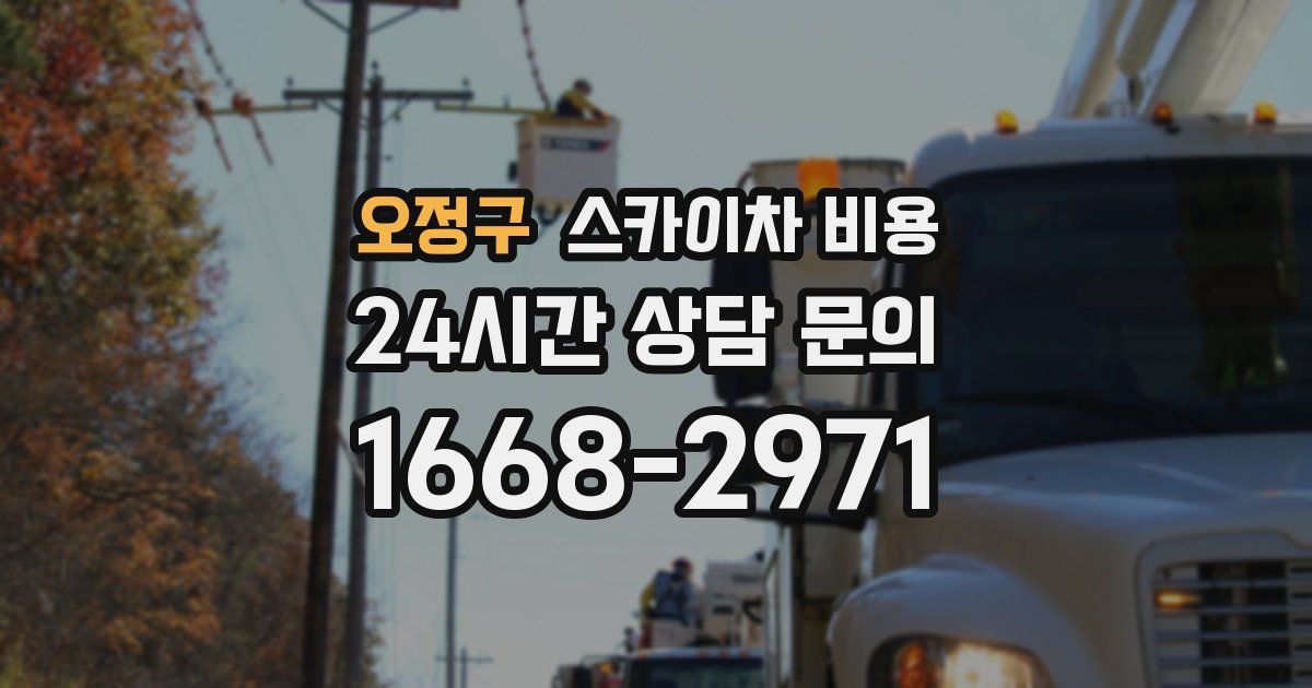 오정구 스카이차 비용