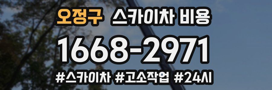 오정구 스카이차 비용