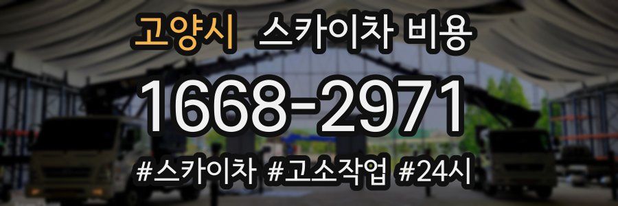 고양시 스카이차 비용