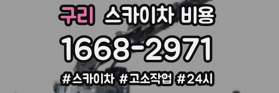 구리 스카이차 비용