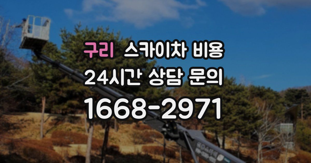 구리 스카이차 비용