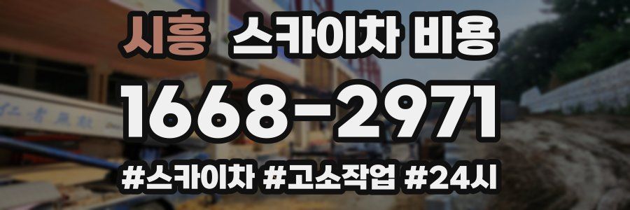 시흥 스카이차 비용