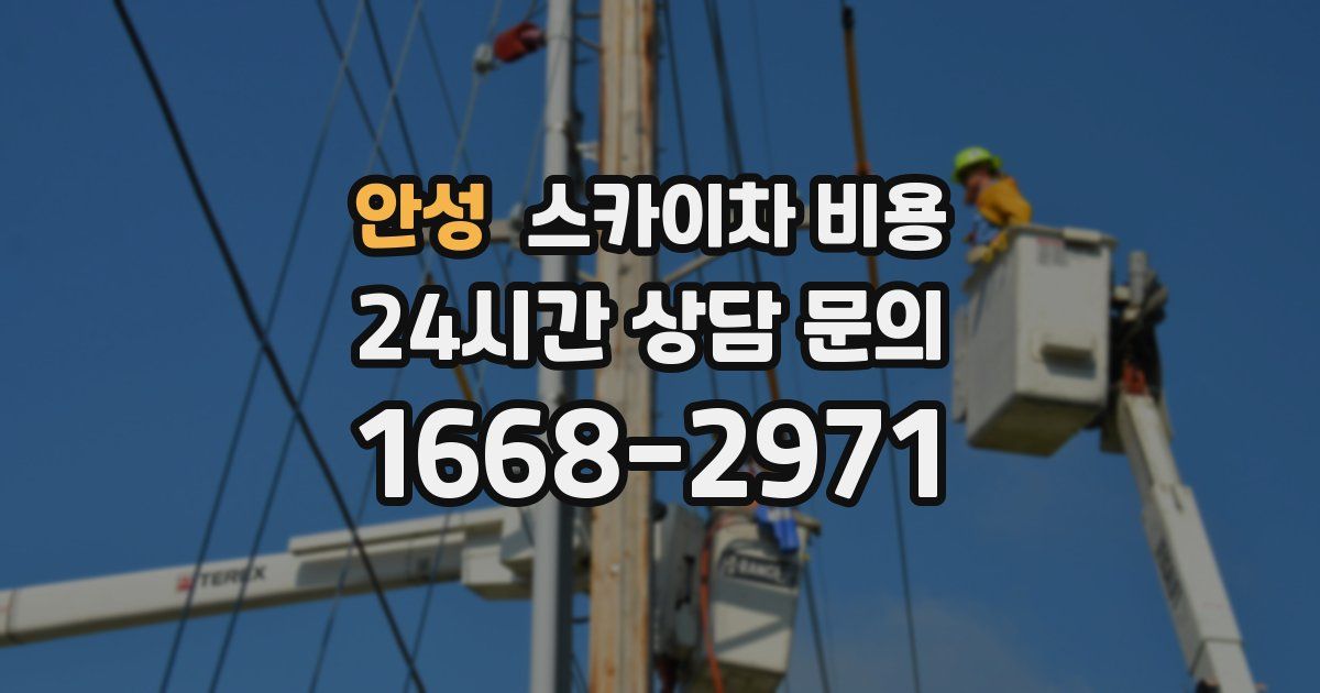 안성 스카이차 비용