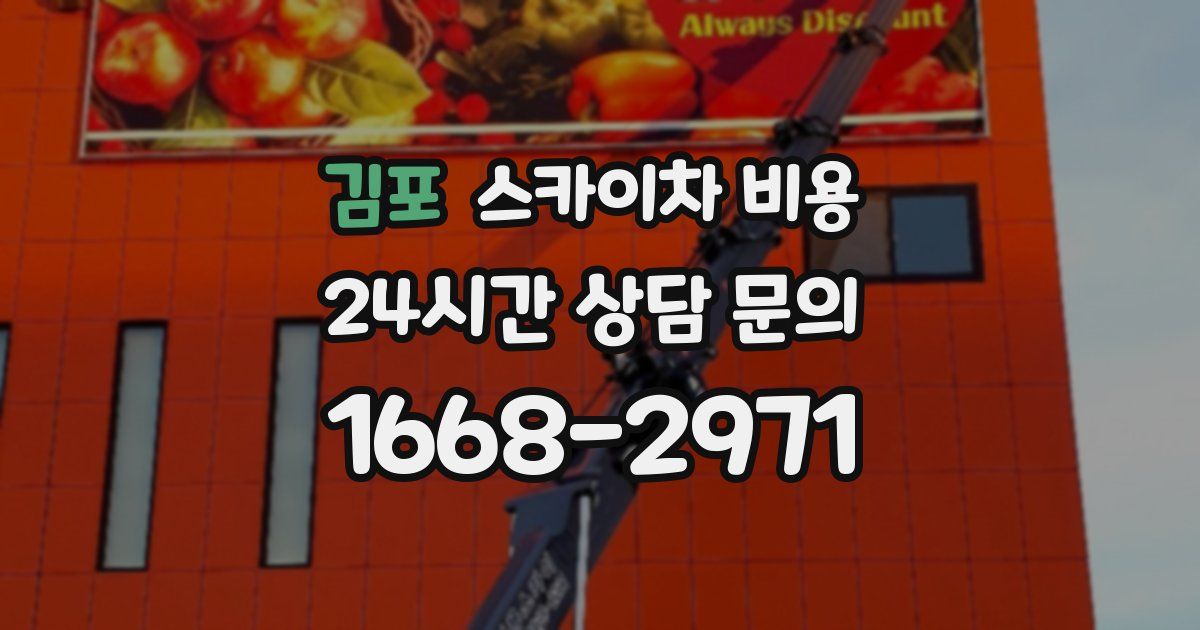 김포 스카이차 비용