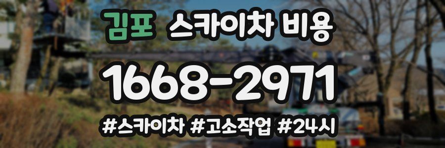 김포 스카이차 비용