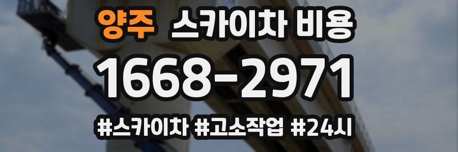 양주 스카이차 비용