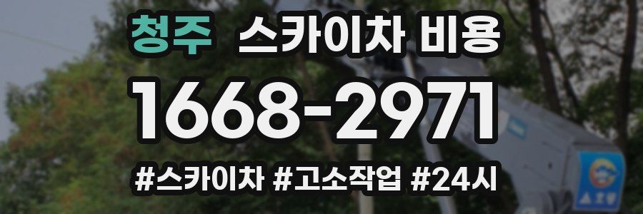 청주 스카이차 비용