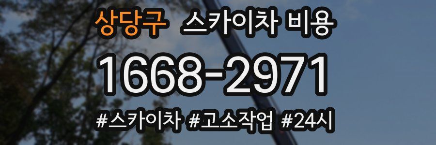 상당구 스카이차 비용