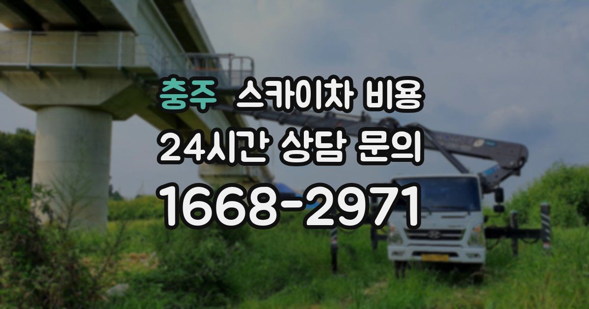 충주 스카이차 비용