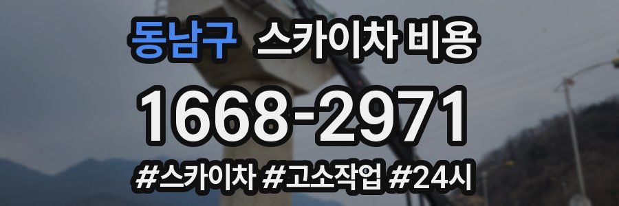 동남구 스카이차 비용