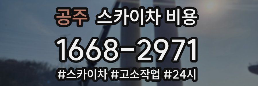 공주 스카이차 비용