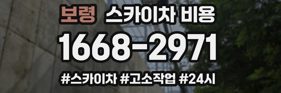 보령 스카이차 비용