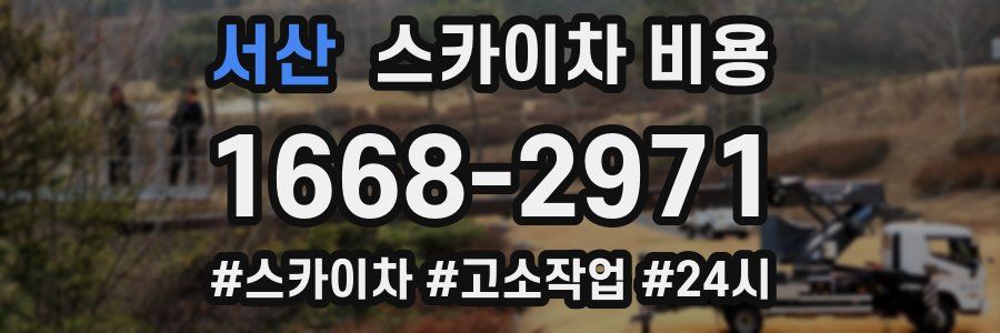 서산 스카이차 비용