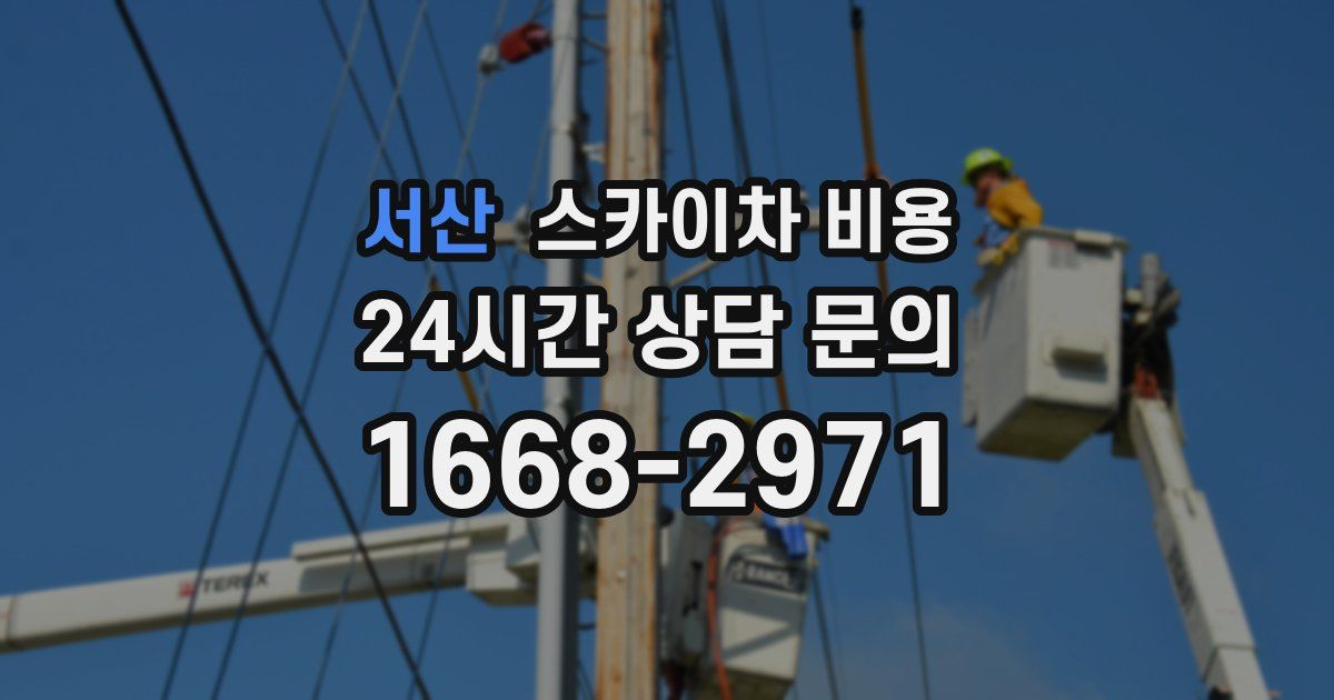 서산 스카이차 비용