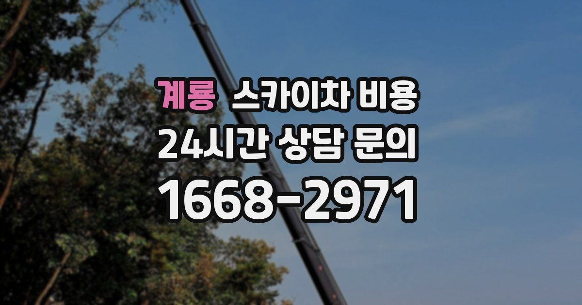 계룡 스카이차 비용