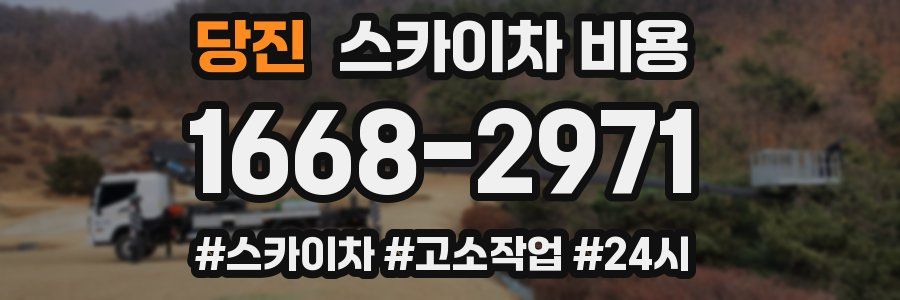 당진 스카이차 비용