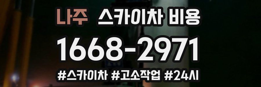 나주 스카이차 비용