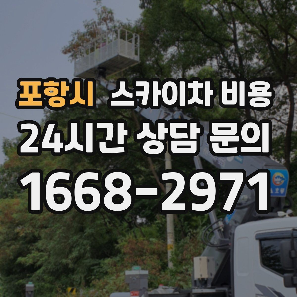 포항시 스카이차 비용 나무 전지 작업은 작업 범위가 핵심입니다