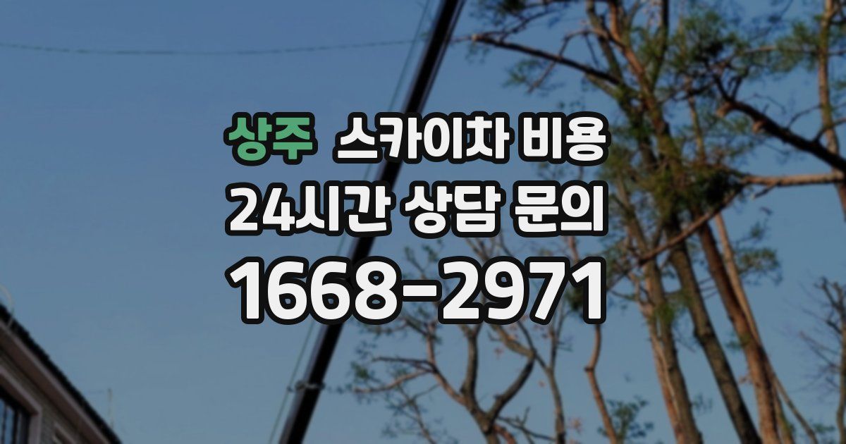 상주 스카이차 비용