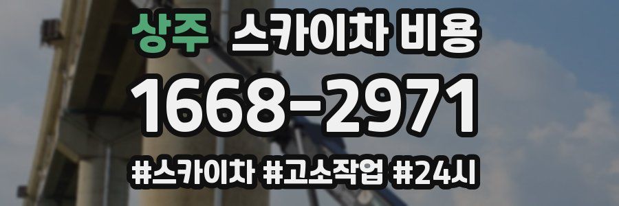 상주 스카이차 비용
