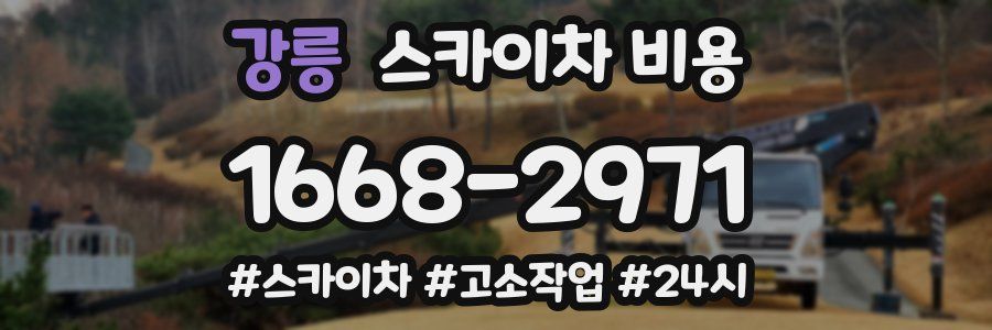 강릉 스카이차 비용