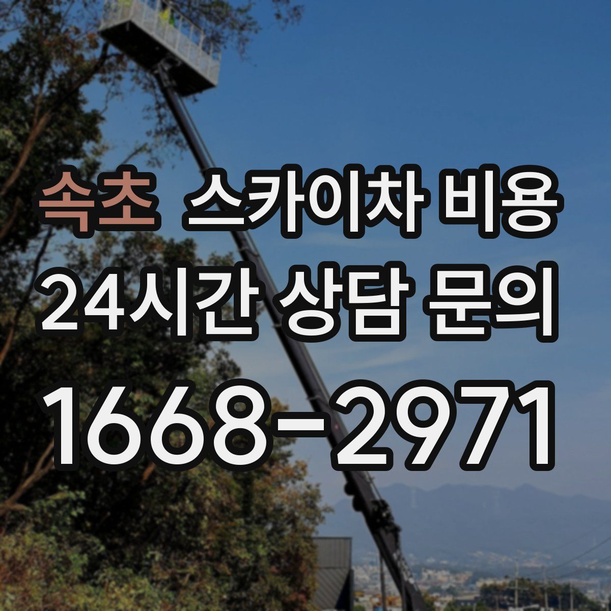 속초 스카이차 비용