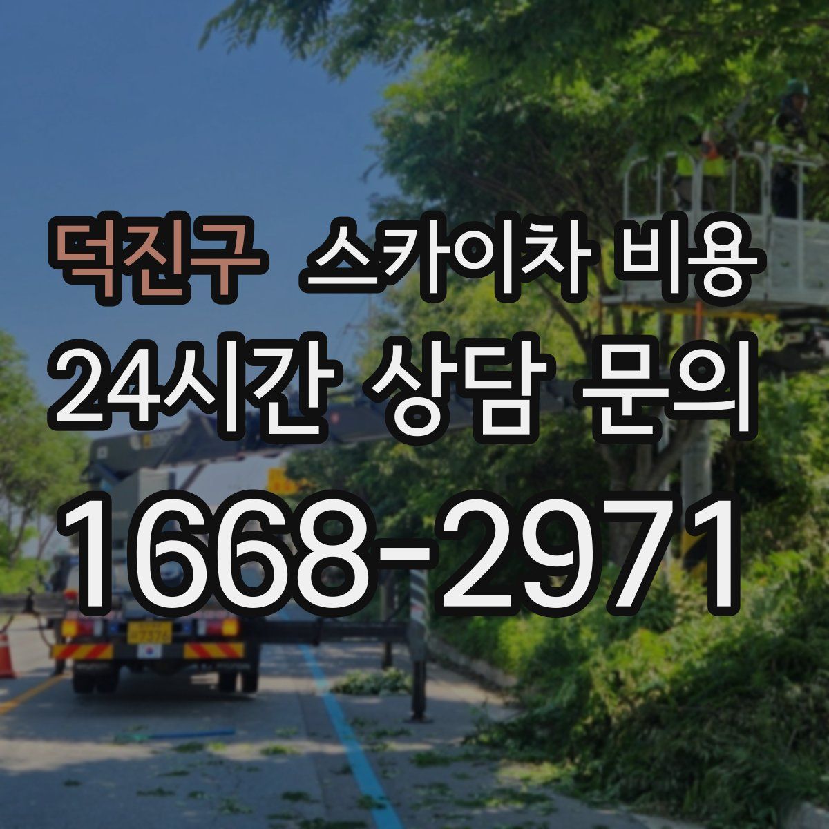 덕진구 스카이차 비용