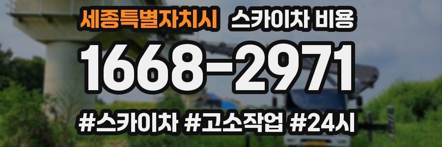 세종특별자치시 스카이차 비용