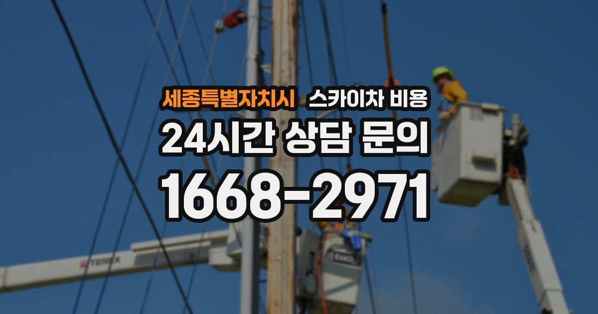 세종특별자치시 스카이차 비용
