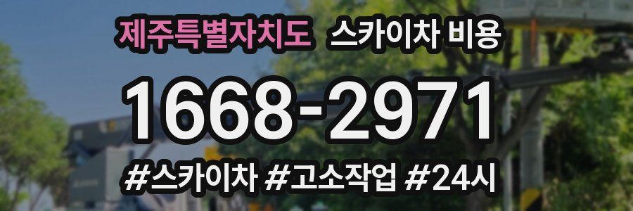 제주특별자치도 스카이차 비용