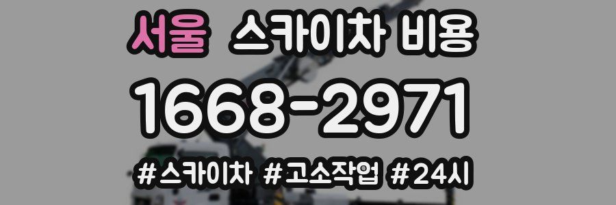 서울 스카이차 비용