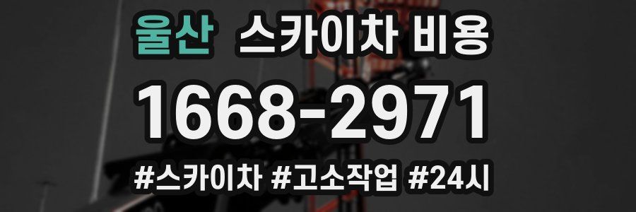 울산 스카이차 비용