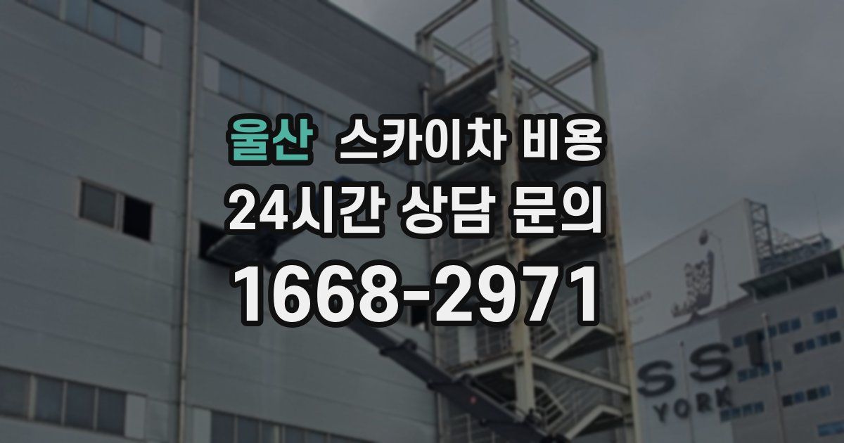 울산 스카이차 비용