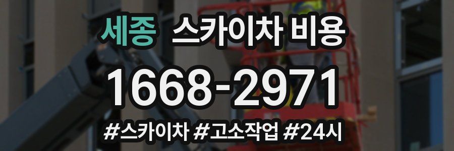 세종 스카이차 비용