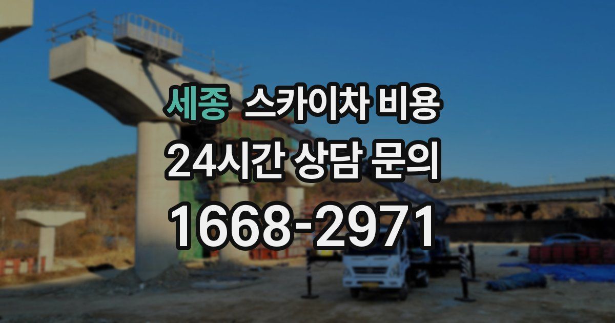 세종 스카이차 비용