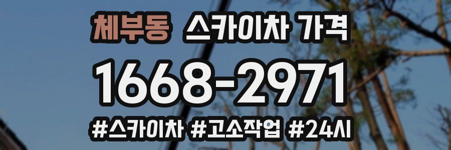 체부동 스카이차 가격