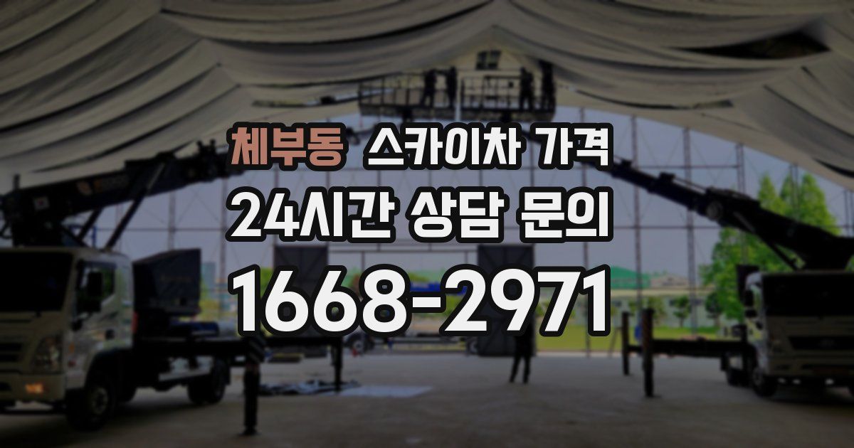 체부동 스카이차 가격