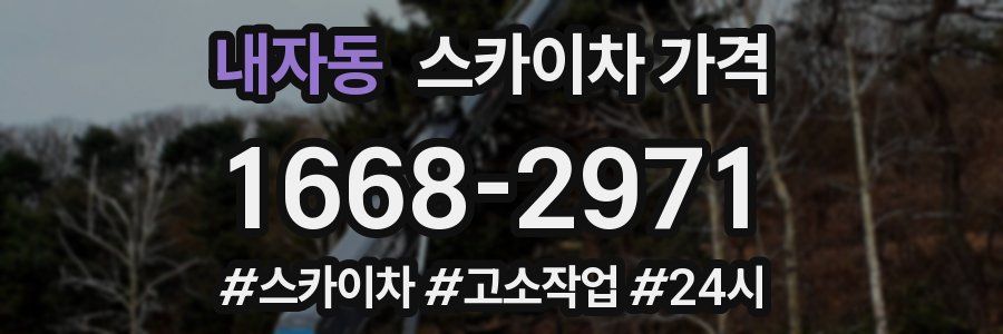 내자동 스카이차 가격