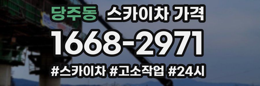 당주동 스카이차 가격