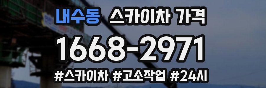 내수동 스카이차 가격