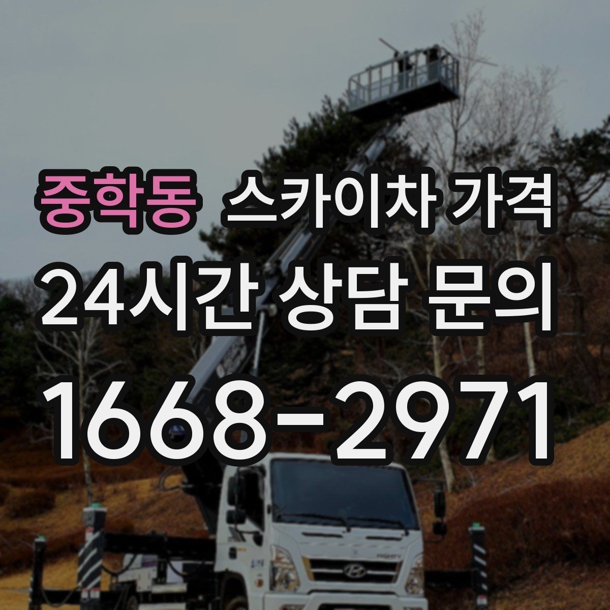중학동 스카이차 가격 배너 교체가 자주 있는 업종의 운영 팁