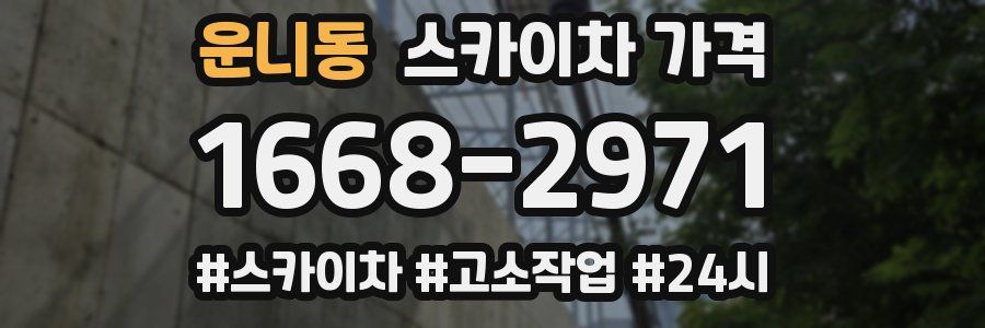 운니동 스카이차 가격