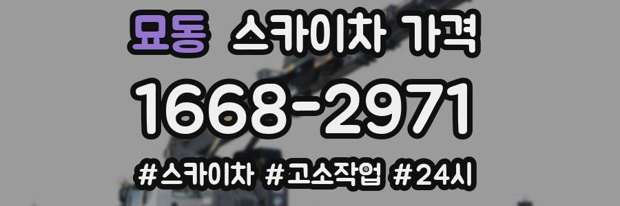 묘동 스카이차 가격