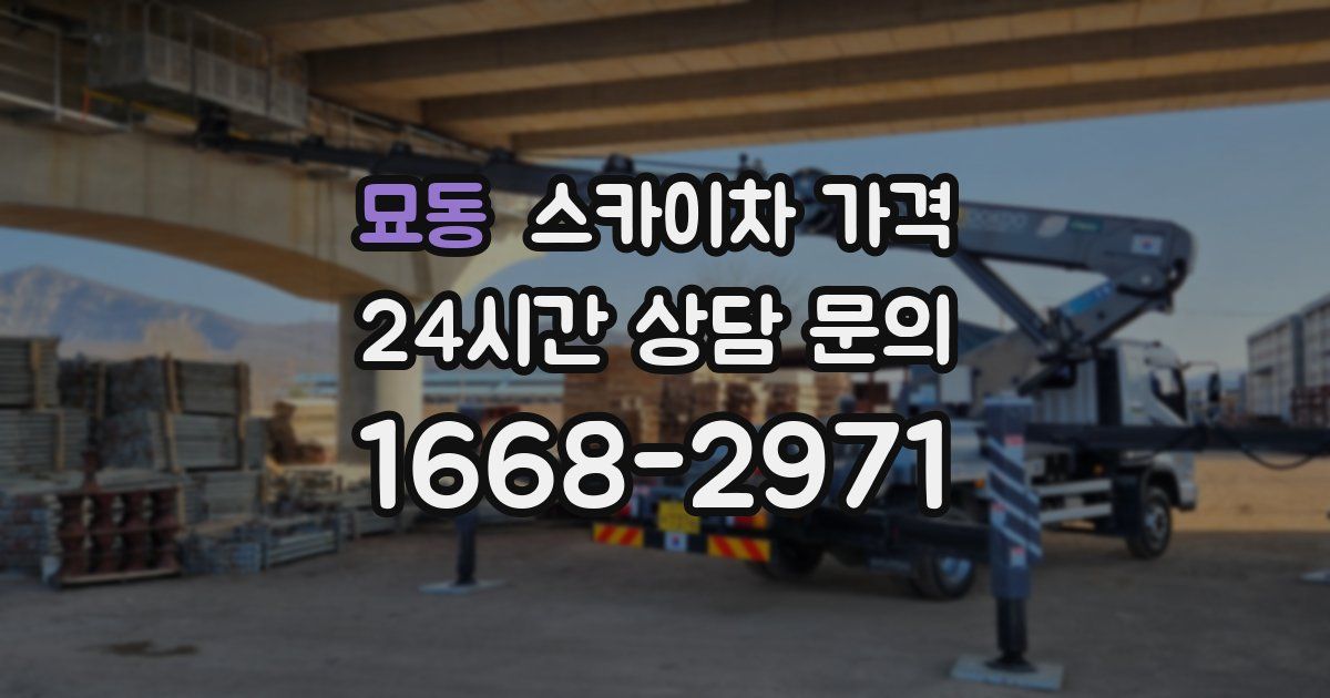 묘동 스카이차 가격